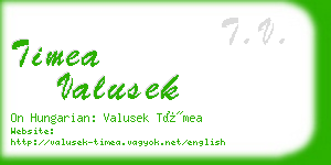 timea valusek business card